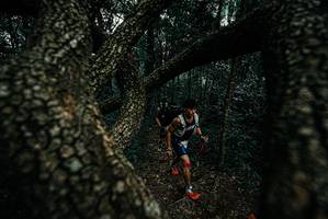 BIB: 
                            <button type="button" onclick="openModal(25689508)" class="btn btn-primary btn-sm float-right btn-popup" data-toggle="modal" data-target=".modal-high-quality">
                        <i class="fas fa-shopping-cart"></i> Add to Cart
                    </button>
                                            <button type="button" onclick="isThisMe(25689508, true)" class="btn btn-success btn-sm float-right btn-popup btn-isme hidden" data-toggle="tooltip" data-placement="bottom" title="นี่คือรูปของคุณใช่ไหม คลิกที่นี่เพื่อเอาเข้าอัลบั้ม">
                        <i class="fas fa-plus"></i> Add to album
                    </button>
                    <button type="button" onclick="isThisMe(25689508, false)" class="btn btn-warning btn-sm float-right btn-popup btn-isnotme hidden">
                        <i class="fas fa-ban"></i> Remove from album
                    </button>